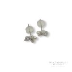 CERCEI ARGINT 318 - Imagine 2